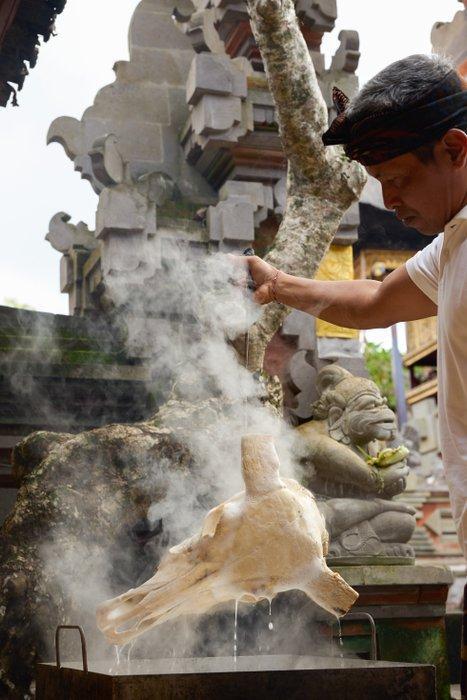 Sans réserve - C - Crâne de buffle deau gris gravé -, Antiek en Kunst, Kunst | Designobjecten