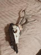 Trophée de chasse, Nieuw