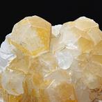 Grossa calcite jaune à tête de clou, Sardaigne Cristaux sur