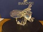 Swarovski - Figurine - 93 Dumbo (blue eyes) - Box +