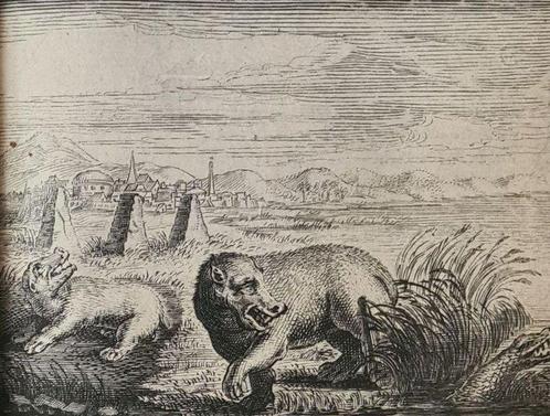 Johan van Beverwyck - Schat der Ongesontheyt, ofte, Antiek en Kunst, Antiek | Boeken en Manuscripten