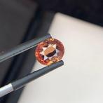 1 pcs Roze, Oranje Padparacha saffier - 1.56 ct - Gem, Nieuw