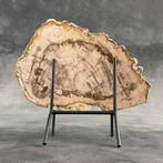 Magnifique tranche de bois pétrifié sur un support