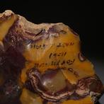 Neolithisch Heel grote Flint. 9,5 cm L. Fontmaure Mes -, Verzamelen