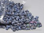 Umachi 1 kilo schelpen blauwe wassing blue washed blauw-grij, Hobby en Vrije tijd, Nieuw