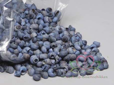 Umachi 1 kilo schelpen blauwe wassing blue washed blauw-grij, Hobby en Vrije tijd, Knutselen, Nieuw