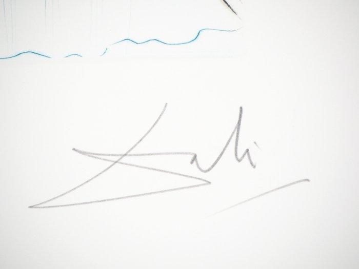 Salvador Dali (1904-1989) - Shakespeare : Roi Richard II, Antiek en Kunst, Antiek | Overige Antiek