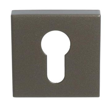 Cilinderplaatje BASICS BSQY53 brons, Klink of Kruk