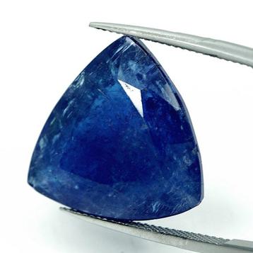 1 pcs Bleu, Violet Tanzanite - 28.68 ct - International