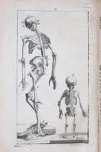 Mr. Dionis - Nouvelle anatomie de lhomme suivant la, Antiquités & Art, Antiquités | Livres & Manuscrits