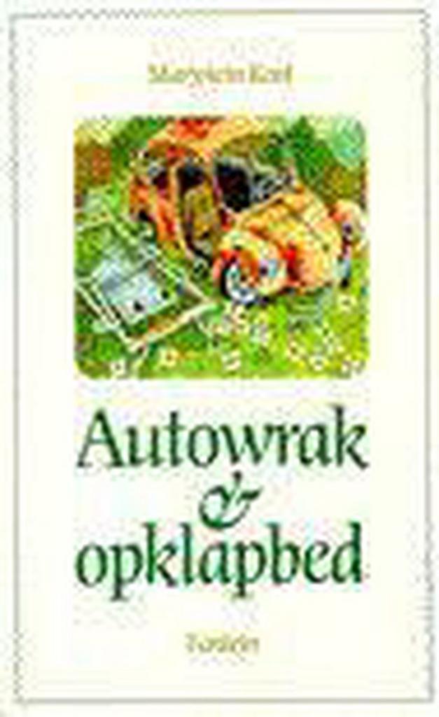 Autowrak en opklapbed 9789026104497 M. Kool, Boeken, Gedichten en Poëzie, Gelezen, Verzenden