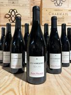 2011 Domaine Varrains Cuvée les Marquises - Anjou - 12 Fles, Nieuw