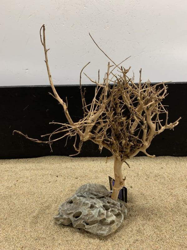 Osaka Bonsai Tree nr 15 - 34x13x43cm - aquascaping boom, Dieren en Toebehoren, Vissen | Aquaria en Toebehoren, Plant(en), Steen of Hout