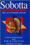 Sobotta Atlas van de menselijke anatomie