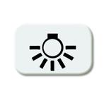ABB Busch-Jaeger 2525 LI-214 Light Symbol R-Alpin White -, Verzenden, Nieuw