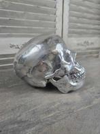 schedel Taxidermie volledige montage - Human cast skull - 15