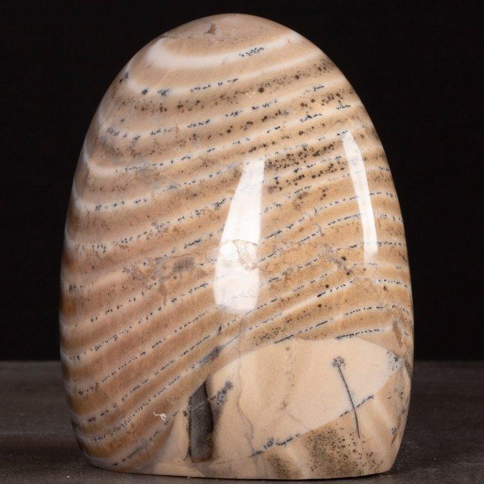 Agata Zebra met Dendriti: De natuurlijke harmonie tussen, Verzamelen, Mineralen en Fossielen
