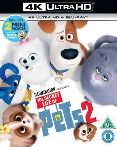 The Secret Life of Pets 2 Blu-ray (2019) Chris Renaud cert U, CD & DVD, Blu-ray, Envoi