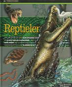 Reptielen / Verkenners 9789087940171 C. Creagh, Boeken, Verzenden, Gelezen, C. Creagh