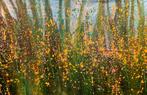 Anastasiya Tumanova - Your flower energy.-XXL