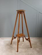 Plantentafel - Eikenhout