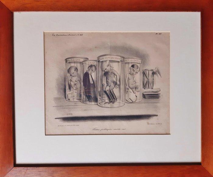 Charles Joseph Traviès (1804-1859) - Phoetus politiques, Antiquités & Art, Antiquités | Autres Antiquités