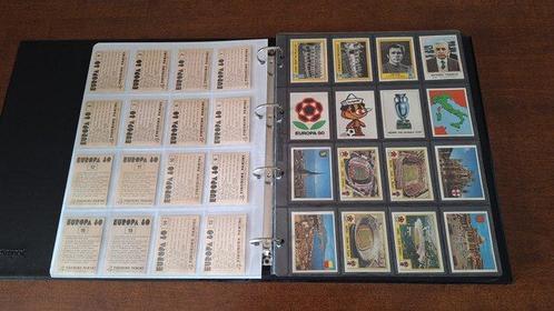 Panini Europa 80 - 245 Sticker - Excellent (EX), Verzamelen, Stickers