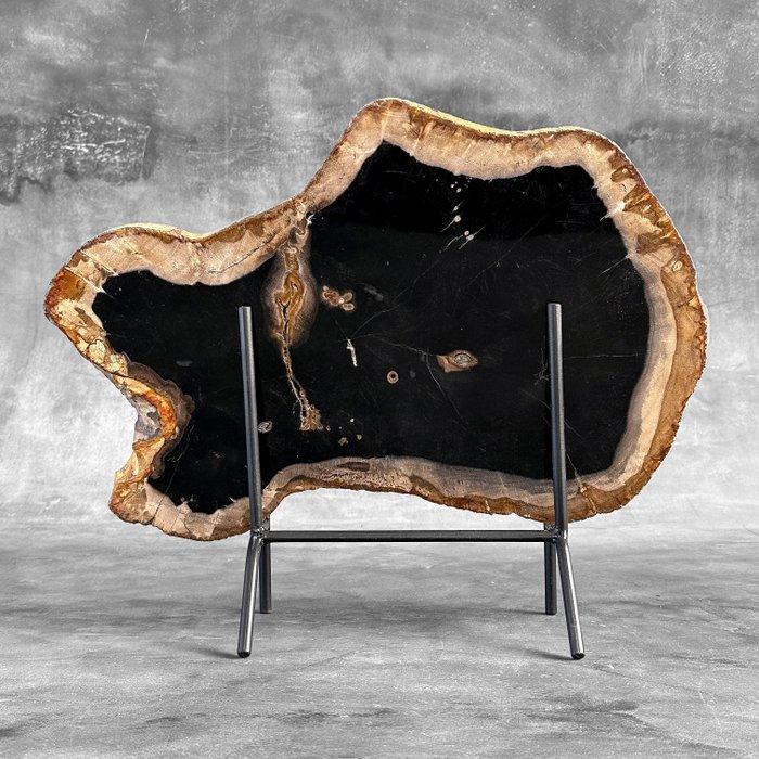 C - Prachtige grote plak versteend hout op een maatwerk, Antiek en Kunst, Kunst | Designobjecten