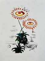 Salvador Dali (1904-1989) - Fried Egg Daisies - Lithograph