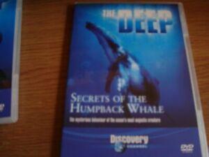 Secrets of The Humpback Whale [DVD] DVD, CD & DVD, DVD | Autres DVD, Envoi