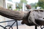 Bizon - Fossiele schedel - Bison Priscus - 33 cm - 105 cm
