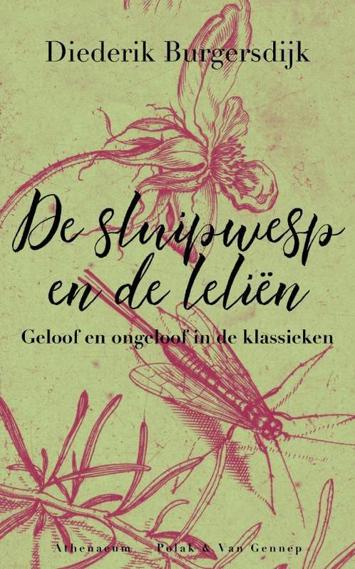 De sluipwesp en de leliën 9789025308599 Diederik Burgersdijk, Boeken, Geschiedenis | Wereld, Gelezen, Verzenden
