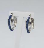 Oorbellen - 19.2 kt. Witgoud - 4.00ct. tw. Saffier, Handtassen en Accessoires, Oorbellen, Nieuw