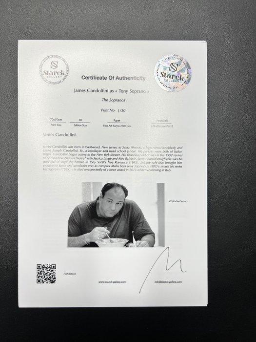 The Sopranos - James Gandolfini as « Tony Soprano » - Fine, Verzamelen, Film en Tv