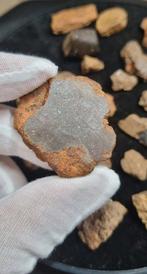 NE PAS FIXER LE PRIX DE RÉSERVE !! Lot de 29 chondrites