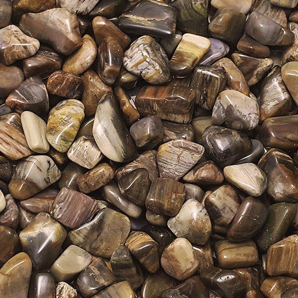 Laatste partij - versteend hout - getrommelde stenen - AAA, Collections, Minéraux & Fossiles