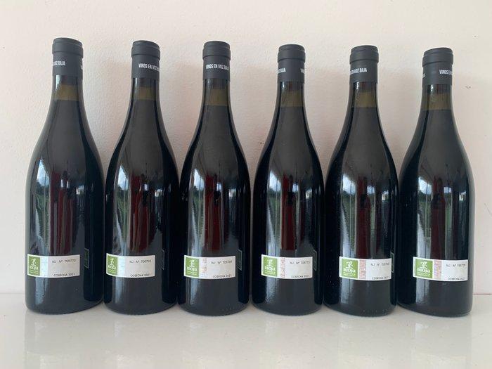 2021 Vinos en Voz Baja, Costumbres - Rioja - 6 Bouteilles, Verzamelen, Wijnen