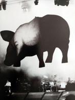 Massimo Barbaglia - Pink Floyd Monza 20 May 1989, Cd's en Dvd's, Vinyl Singles, Nieuw in verpakking