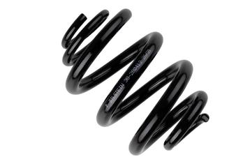 Bilstein B3 Replacement Springs Chassisveer | Volkswagen |, Verzenden