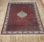 Bijar Perzisch tapijt - verbluffende kwaliteit - Vloerkleed
