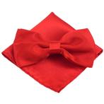 Fako Fashion® - Vlinderstrik Met Pochette - Vlinderdas -, Kleding | Heren, Verzenden, Nieuw