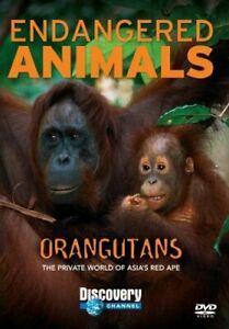 Orangutans: Endangered Animals DVD, Cd's en Dvd's, Dvd's | Overige Dvd's, Zo goed als nieuw, Verzenden