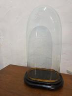 Globe - stolp - antiek - 1901-1920 - Antieke ovale stolp op, Antiek en Kunst