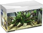 Osaka Glossy aquarium 100 White *Safe Tank*, Animaux & Accessoires, Ophalen of Verzenden