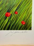 Giò Mondelli (1953) - Lavanda