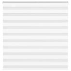 vidaXL Zebra Blind 145x100 cm stofbreedte 140,9 cm polyester, Huis en Inrichting, Stoffering | Gordijnen en Lamellen, Verzenden