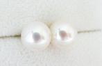 Zonder minimumprijs - Oorbellen - 18 karaat Witgoud Parel -, Nieuw