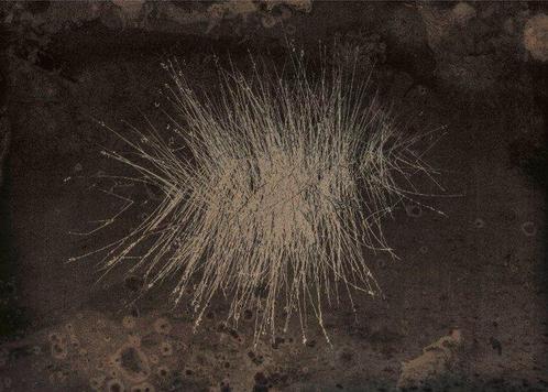Jorge Omeñaca - Lake urchid, Antiek en Kunst, Kunst | Schilderijen | Modern