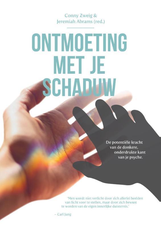Ontmoeting met je schaduw 9789076681320, Boeken, Psychologie, Gelezen, Verzenden