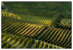 Franco Turcati - Langhe Autunno 2, Antiek en Kunst
